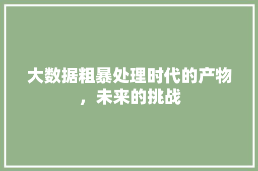 大数据粗暴处理时代的产物，未来的挑战