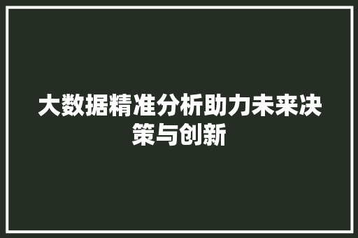 大数据精准分析助力未来决策与创新