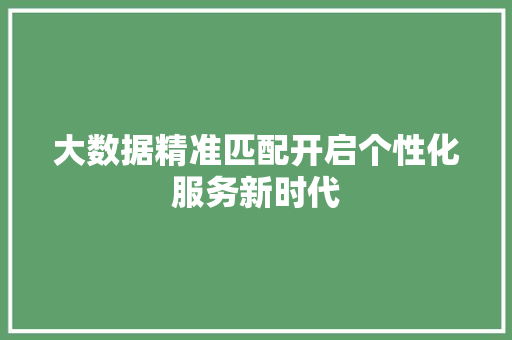 大数据精准匹配开启个性化服务新时代