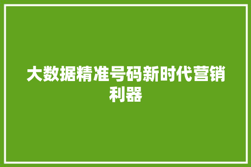 大数据精准号码新时代营销利器