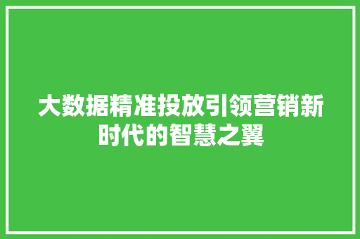 大数据精准投放引领营销新时代的智慧之翼