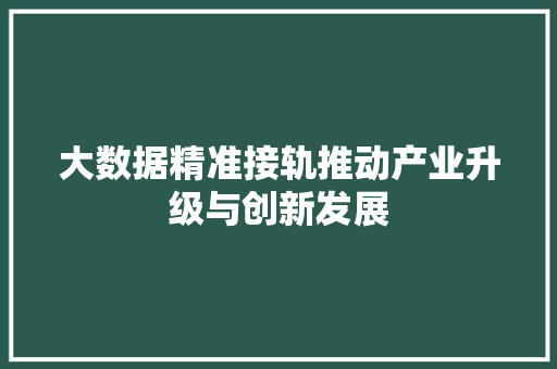 大数据精准接轨推动产业升级与创新发展