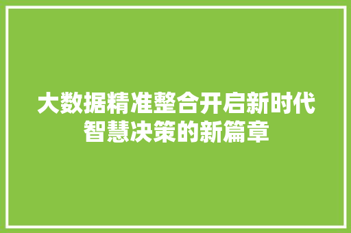 大数据精准整合开启新时代智慧决策的新篇章