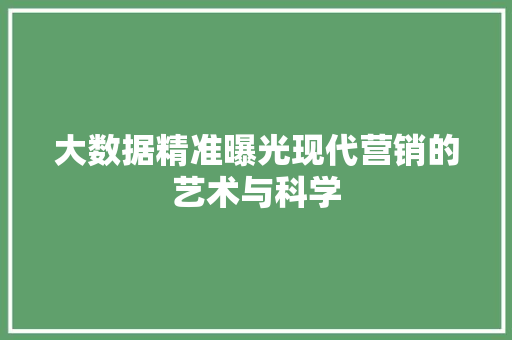 大数据精准曝光现代营销的艺术与科学