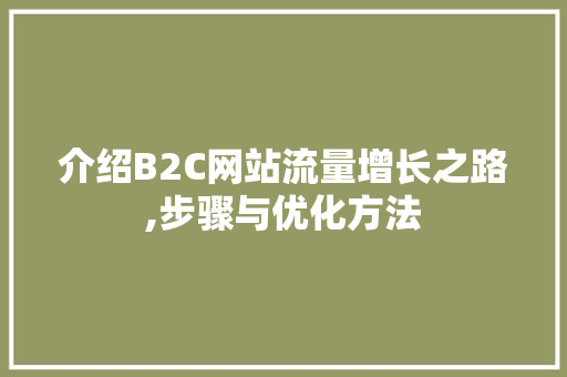 介绍B2C网站流量增长之路,步骤与优化方法 缓存Redis
