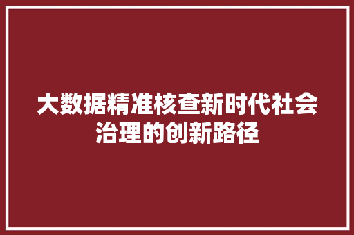 大数据精准核查新时代社会治理的创新路径