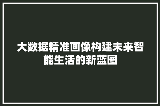 大数据精准画像构建未来智能生活的新蓝图