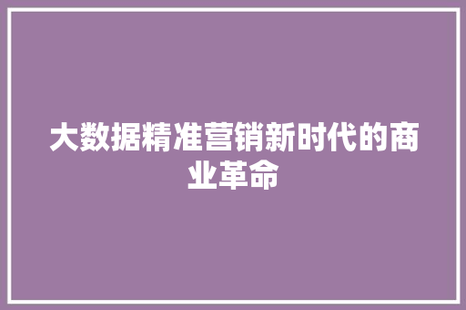 大数据精准营销新时代的商业革命
