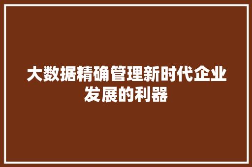 大数据精确管理新时代企业发展的利器