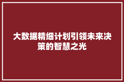 大数据精细计划引领未来决策的智慧之光