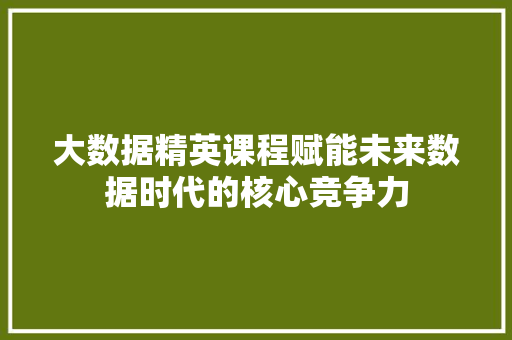 大数据精英课程赋能未来数据时代的核心竞争力