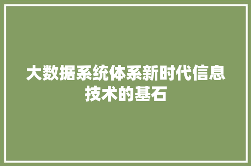 大数据系统体系新时代信息技术的基石