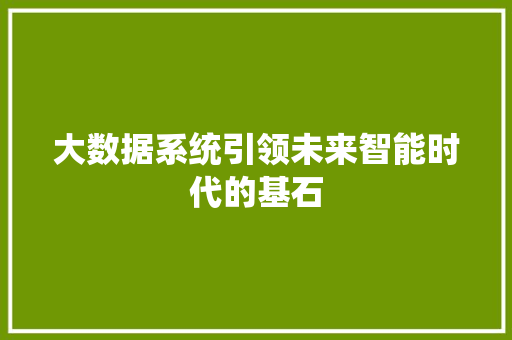 大数据系统引领未来智能时代的基石