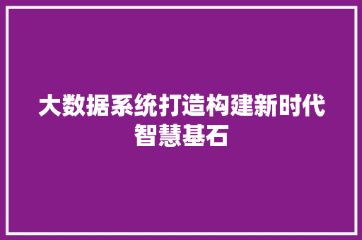 大数据系统打造构建新时代智慧基石
