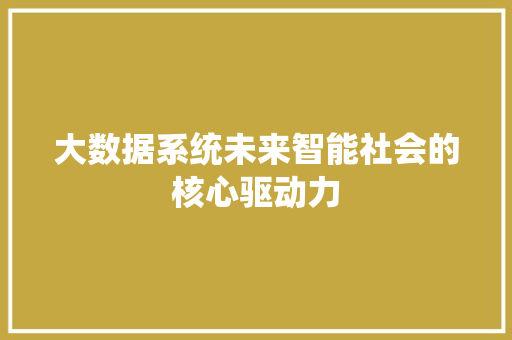 大数据系统未来智能社会的核心驱动力