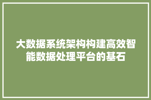 大数据系统架构构建高效智能数据处理平台的基石
