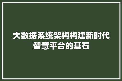大数据系统架构构建新时代智慧平台的基石