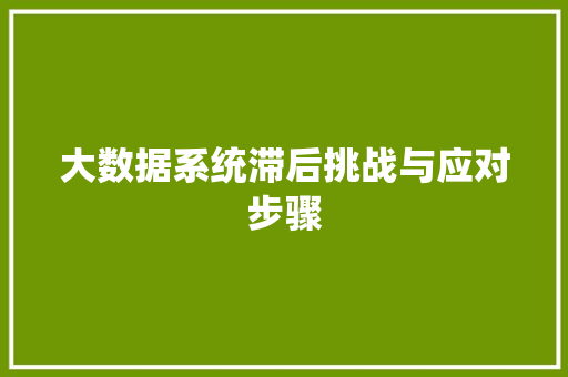 大数据系统滞后挑战与应对步骤