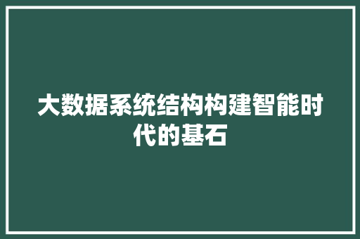 大数据系统结构构建智能时代的基石