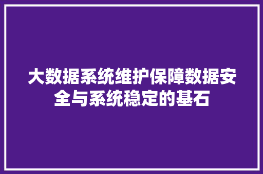 大数据系统维护保障数据安全与系统稳定的基石