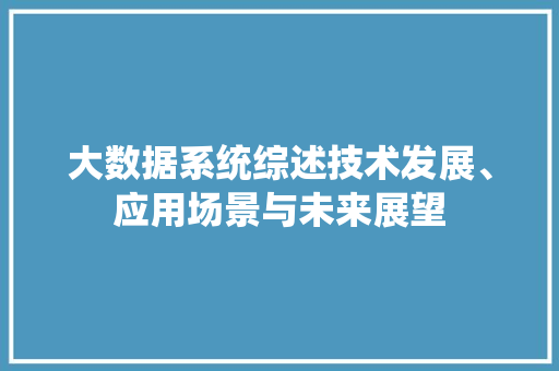 大数据系统综述技术发展、应用场景与未来展望