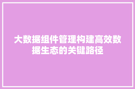 大数据组件管理构建高效数据生态的关键路径