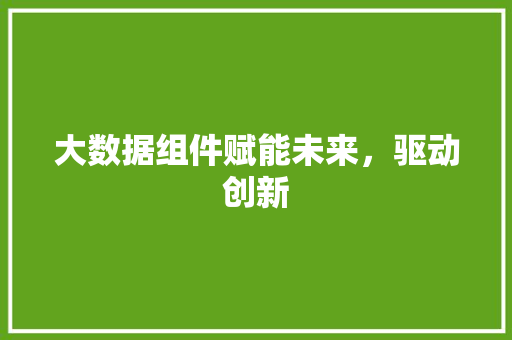 大数据组件赋能未来，驱动创新