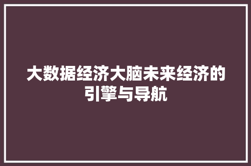 大数据经济大脑未来经济的引擎与导航