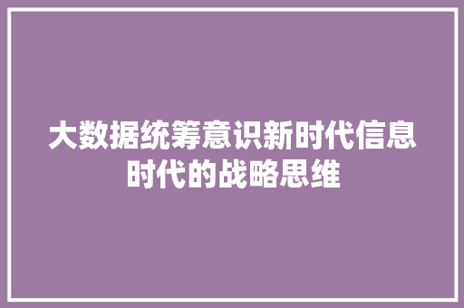 大数据统筹意识新时代信息时代的战略思维