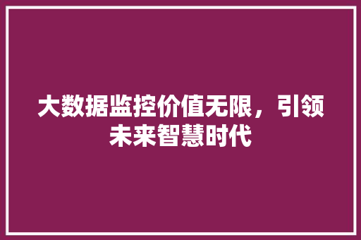 大数据监控价值无限，引领未来智慧时代
