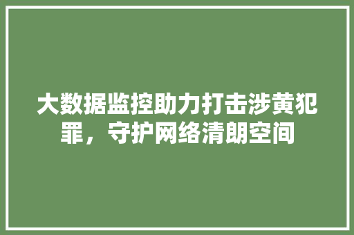 大数据监控助力打击涉黄犯罪，守护网络清朗空间