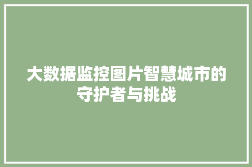 大数据监控图片智慧城市的守护者与挑战
