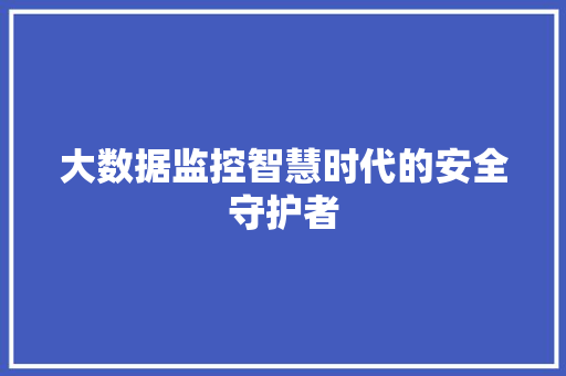 大数据监控智慧时代的安全守护者