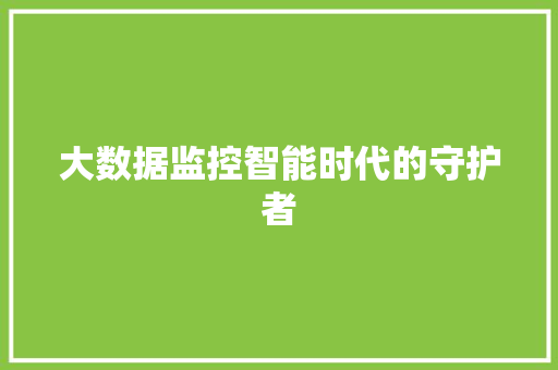 大数据监控智能时代的守护者