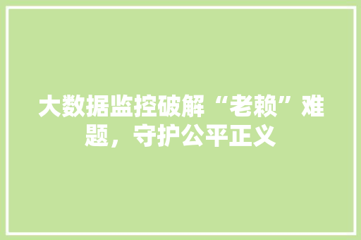 大数据监控破解“老赖”难题，守护公平正义