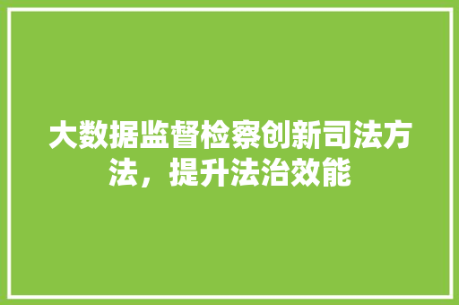 大数据监督检察创新司法方法，提升法治效能
