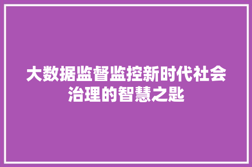 大数据监督监控新时代社会治理的智慧之匙