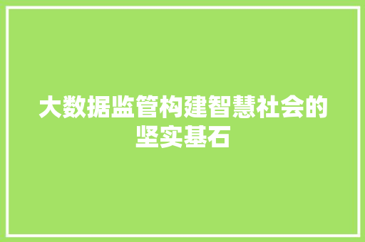 大数据监管构建智慧社会的坚实基石