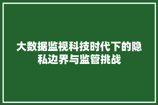 大数据监视科技时代下的隐私边界与监管挑战
