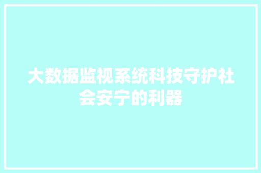 大数据监视系统科技守护社会安宁的利器