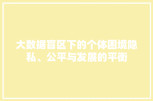 大数据盲区下的个体困境隐私、公平与发展的平衡