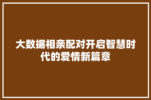 大数据相亲配对开启智慧时代的爱情新篇章