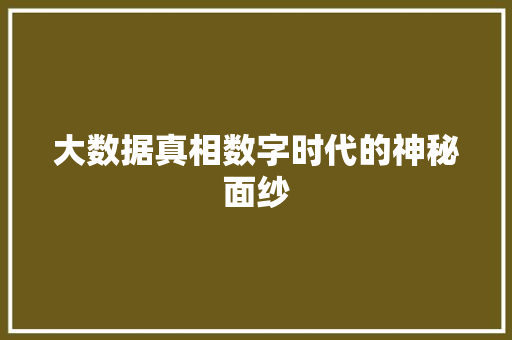 大数据真相数字时代的神秘面纱