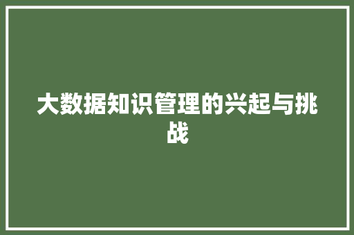 大数据知识管理的兴起与挑战