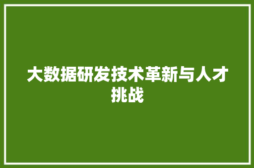 大数据研发技术革新与人才挑战