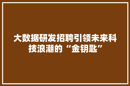 大数据研发招聘引领未来科技浪潮的“金钥匙”