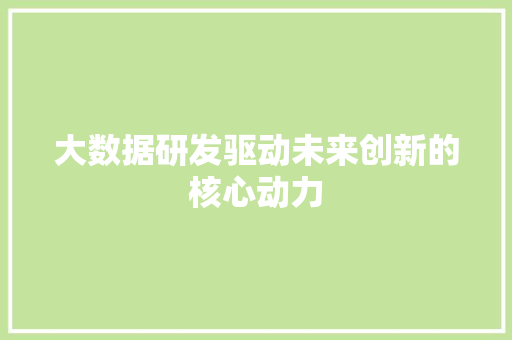 大数据研发驱动未来创新的核心动力