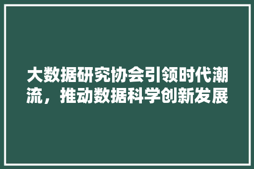 大数据研究协会引领时代潮流，推动数据科学创新发展
