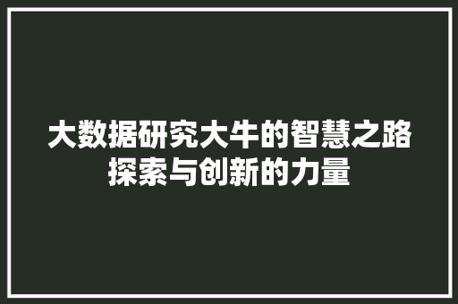 大数据研究大牛的智慧之路探索与创新的力量