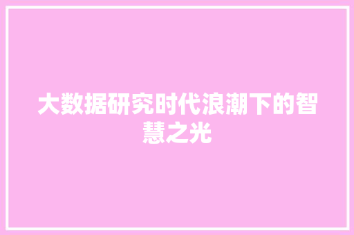大数据研究时代浪潮下的智慧之光